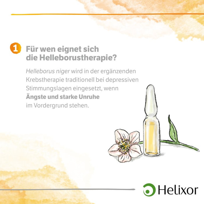 Helleborus niger aquos. D20, 8 pc Ampoules