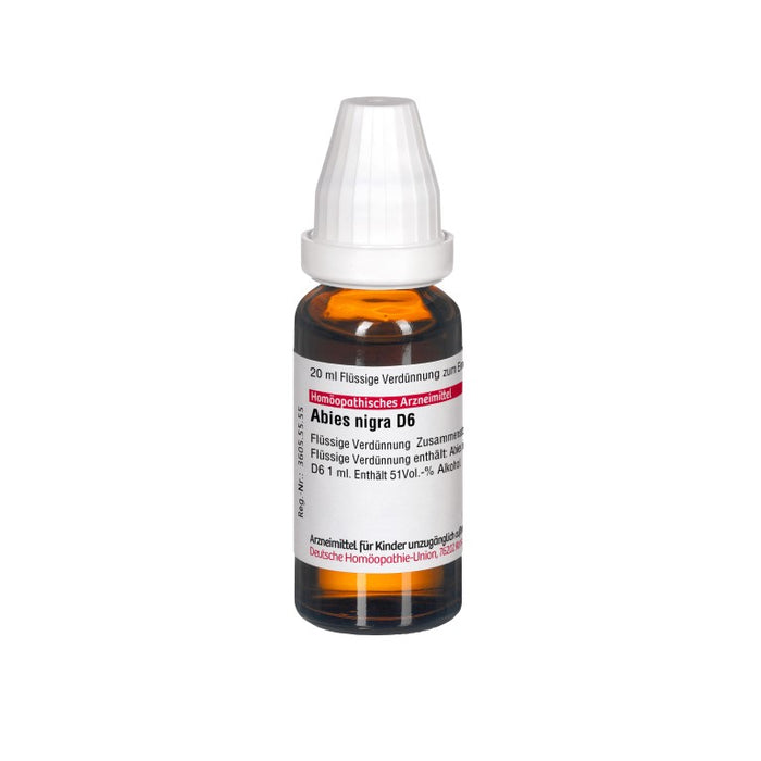 Abies nigra D6 DHU Dilution, 20 ml Lösung