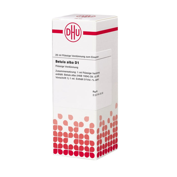 DHU Betula alba D1 Dilution, 20 ml Lösung