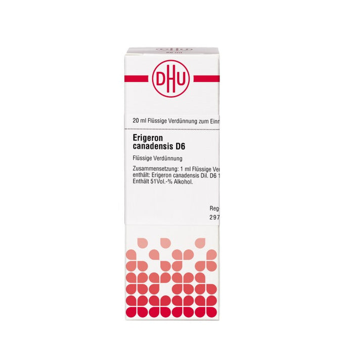 Erigeron canadensis D6 DHU Dilution, 20 ml Lösung