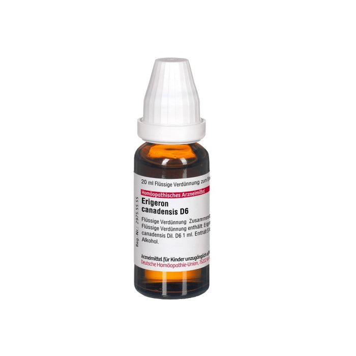 Erigeron canadensis D6 DHU Dilution, 20 ml Lösung