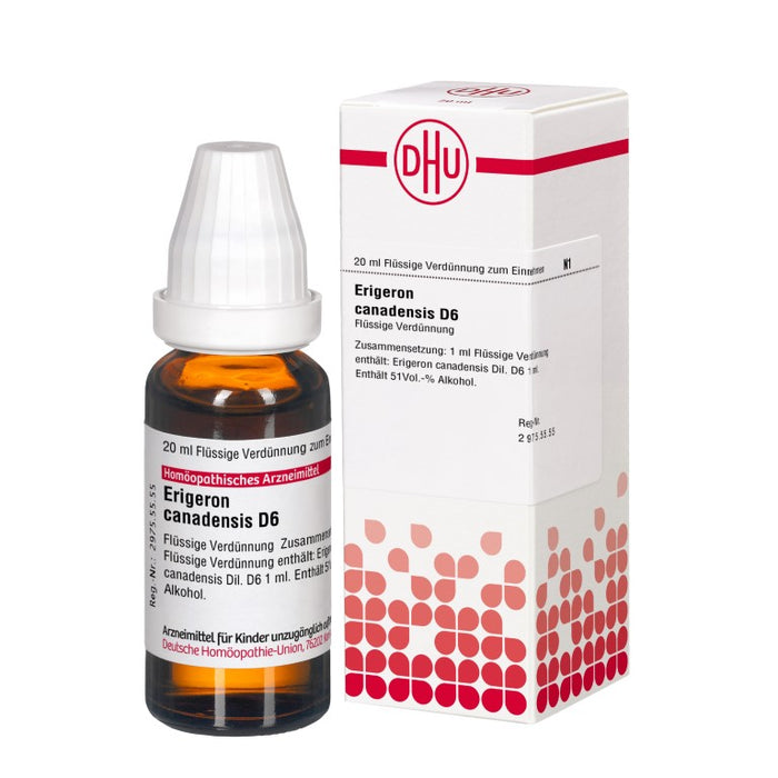 Erigeron canadensis D6 DHU Dilution, 20 ml Lösung