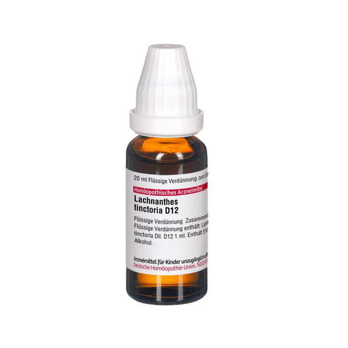 Lachnanthes tinctoria D12 DHU Dilution, 20 ml Lösung