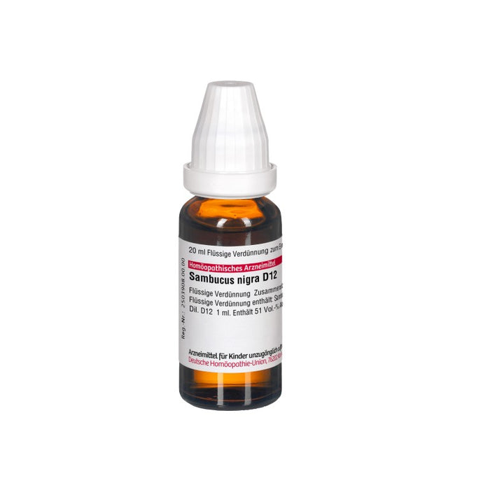 Sambucus nigra D12 DHU Dilution, 20 ml Lösung