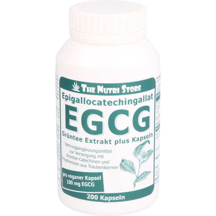 EGCG 100mg Grüntee Extrakt plus, 200 St KAP