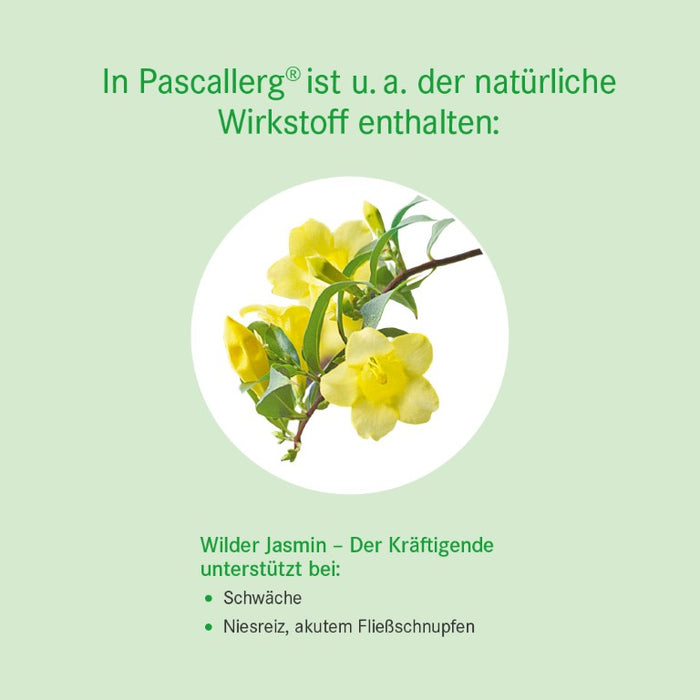 Pascallerg Tabletten  bei Erkrankungen der Atemwege, 100 pc Tablettes