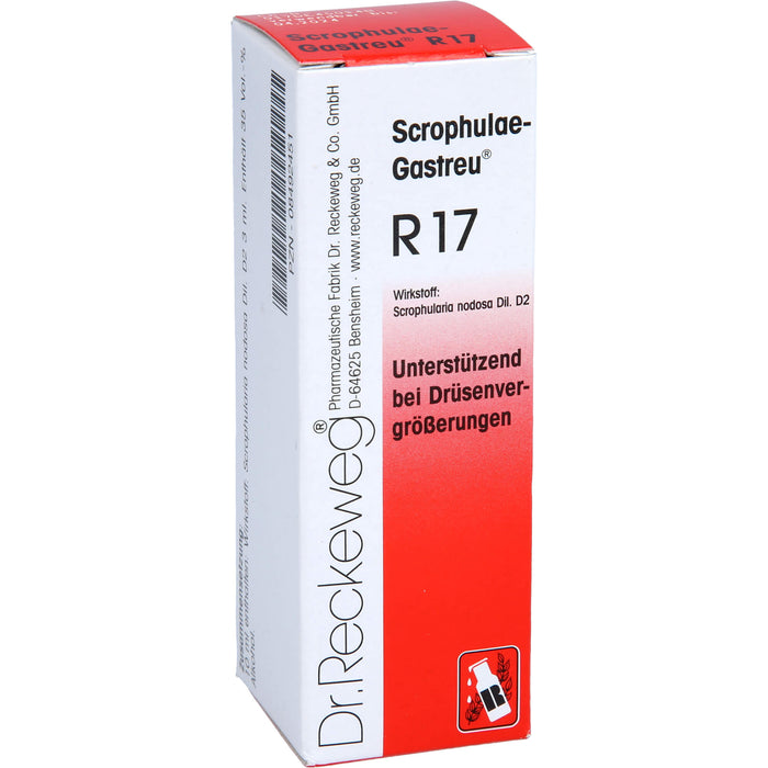 Scrophulae-Gastreu R17 Tropf., 22 ml MIS