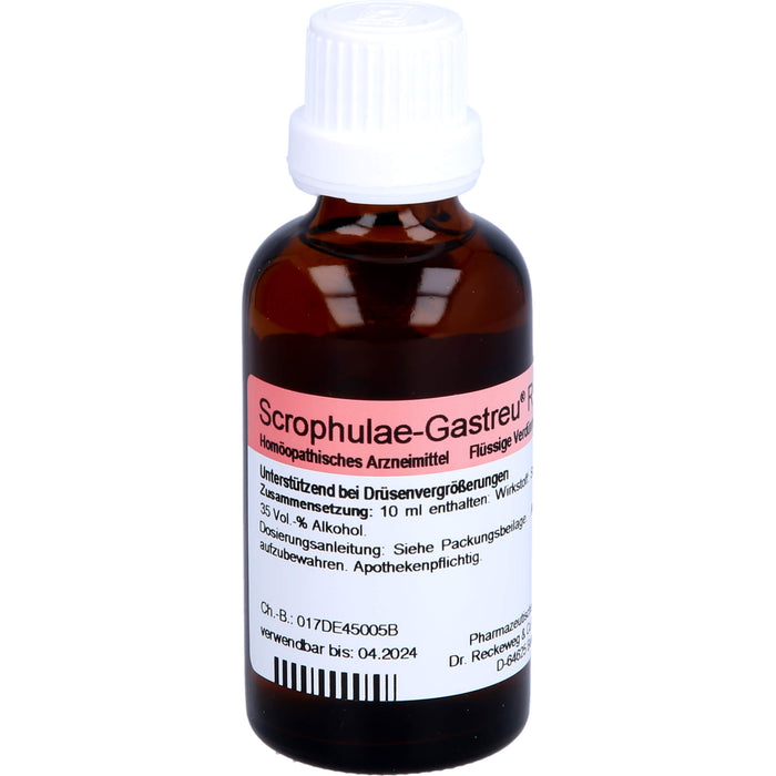 Scrophulae-Gastreu R17 Tropf., 50 ml MIS