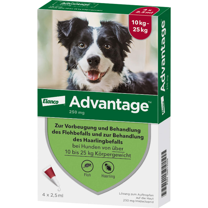 Advantage 250 mg Lösung zum Auftropfen bei Hunden, 4 pcs. Ampoules