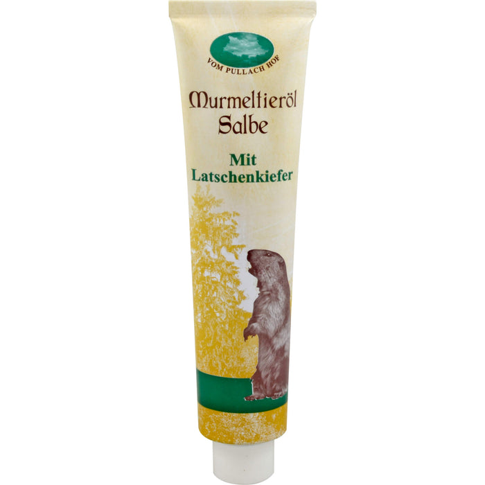 Murmeltieröl Salbe, 200 ml Salbe