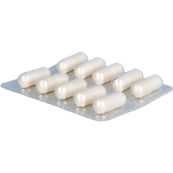 Regena Ney Geront plus Kapseln zur Verbesserung des Energiehaushalts, 60 pcs. Capsules