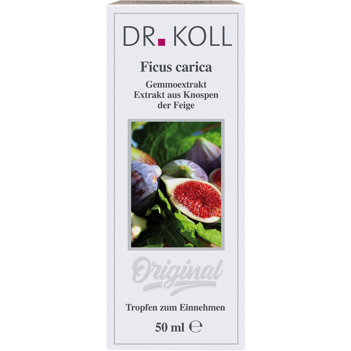 DR. KOLL Ficus Carica Gemmoextrakt Tropfen, 50 ml Solution