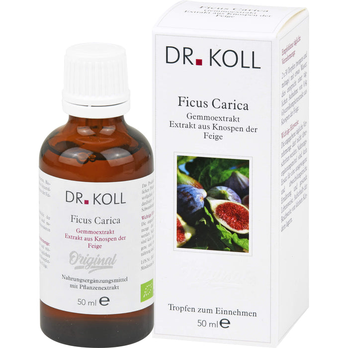 DR. KOLL Ficus Carica Gemmoextrakt Tropfen, 50 ml Lösung