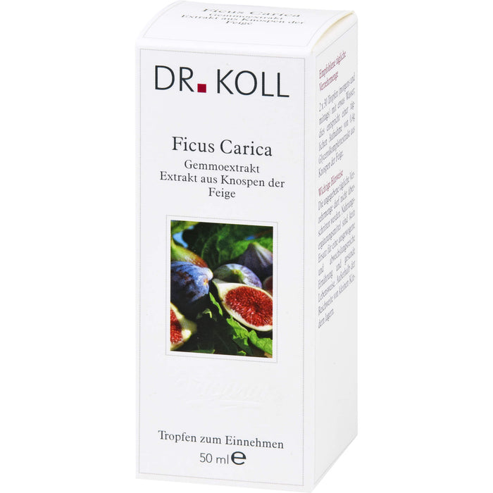 DR. KOLL Ficus Carica Gemmoextrakt Tropfen, 50 ml Solution