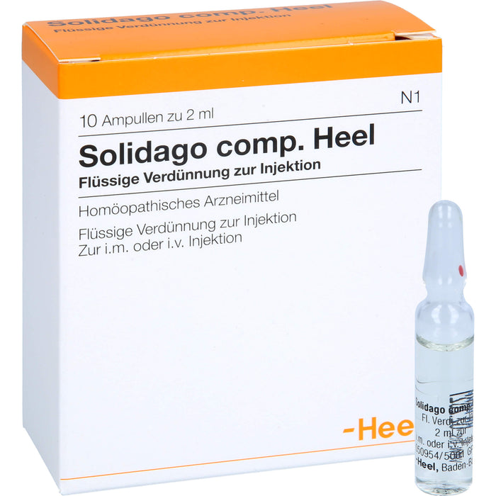 Solidago comp. Heel Ampullen, 10 pcs. Ampoules