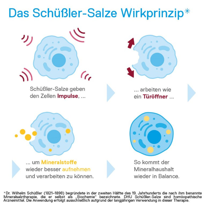 DHU Schüßler-Salz Nr. 8 Natrium chloratum D3 – Das Mineralsalz des Flüssigkeitshaushalts – das Original – umweltfreundlich im Arzneiglas, 200 pcs. Tablets