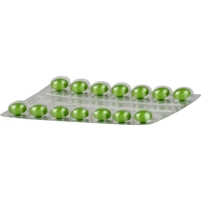 Carmenthin Weichkapseln bei Verdauungsstörungen, 84 pcs. Capsules