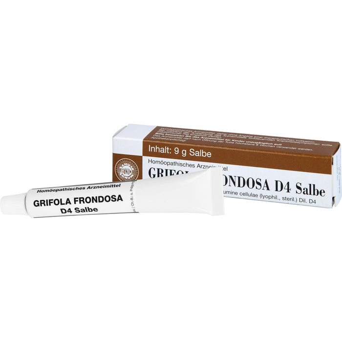 Grifola frondosa D4 Salbe, 9 g Onguent