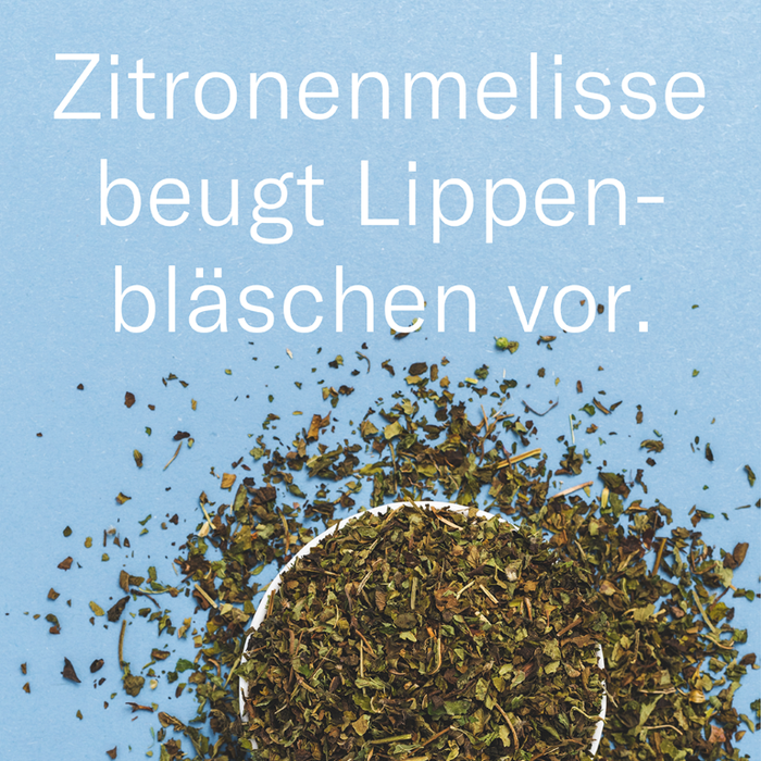 LETI balm Fluido - Feuchtigkeitsspendender Nasen- und Lippenbalsam bei sehr trockener oder strapazierter Haut, 10 ml Lösung