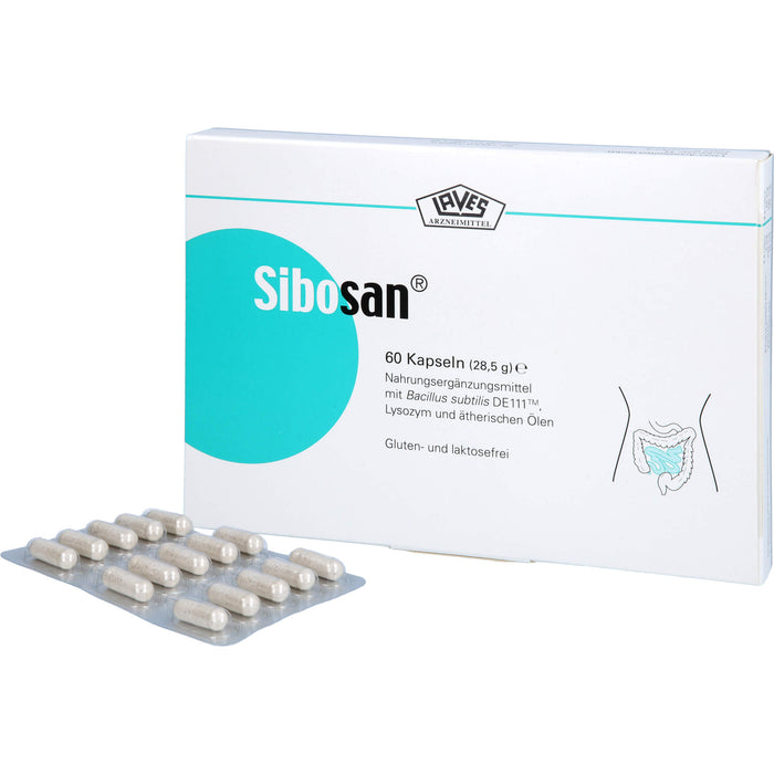 Sibosan Kapseln, 60 pc Capsules