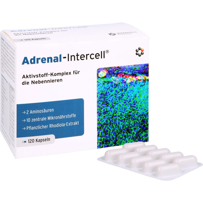 Adrenal-Intercell Aktiv-Komplex für die Nebennieren Kapseln, 120 St. Kapseln