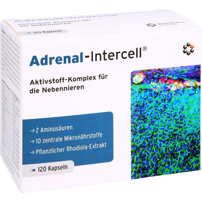 Adrenal-Intercell Aktiv-Komplex für die Nebennieren Kapseln, 120 pcs. Capsules