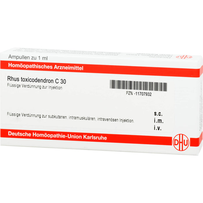 DHU Rhus toxicodendron C30 Ampullen, 8 St. Ampullen