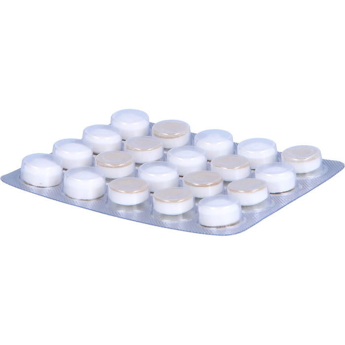 OraCoat XyliMelts Hafttabletten milde Minze gegen Mundtrockenheit, 40 pc Tablettes