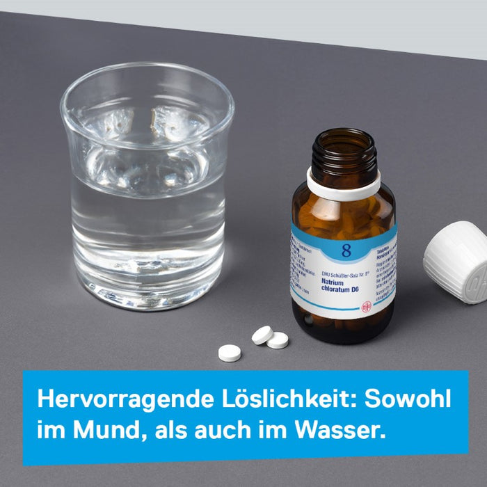 DHU Schüßler-Salz Nr. 8 Natrium chloratum D6 – Das Mineralsalz des Flüssigkeitshaushalts – das Original – umweltfreundlich im Arzneiglas, 420 St. Tabletten