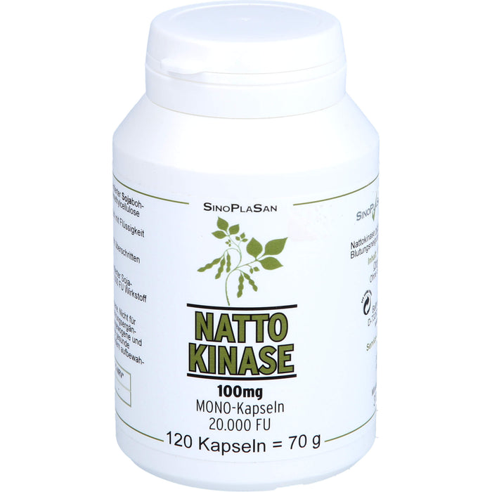 Nattokinase 100 mg Mono 20.000 FU Kapseln, 120 pc Capsules