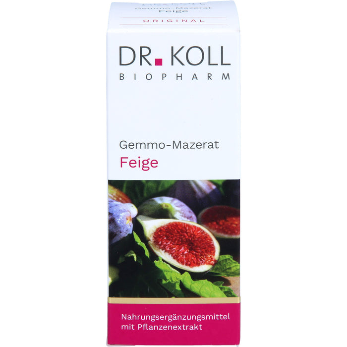 Gemmo-Mazerat Feige Dr. Koll Ficus carica, 50 ml TRO