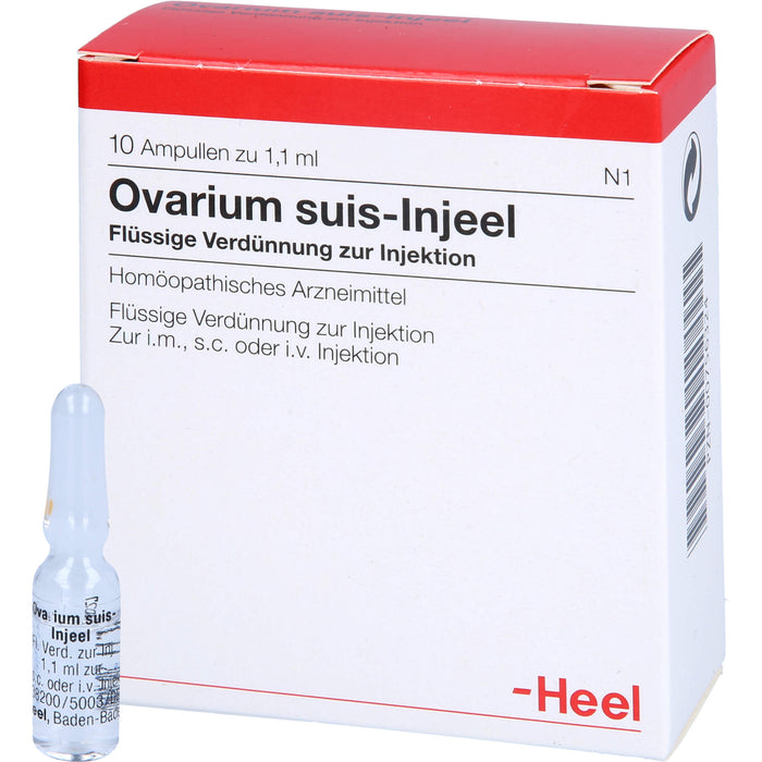 Ovarium suis-Injeel flüssige Verdünnung, 10 pcs. Ampoules