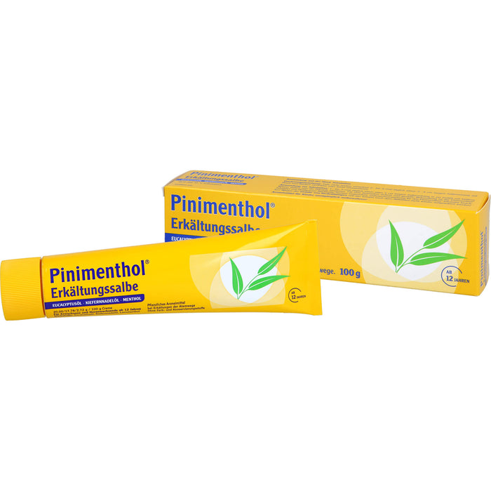 Pinimenthol Erkältungssalbe, 100 g Creme