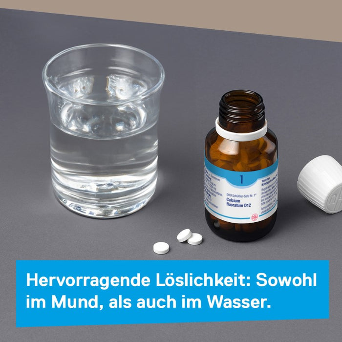 DHU Schüßler-Salz Nr. 1 Calcium fluoratum D12 – Das Mineralsalz des Bindegewebes, der Gelenke und Haut – das Original – umweltfreundlich im Arzneiglas, 80 pcs. Tablets