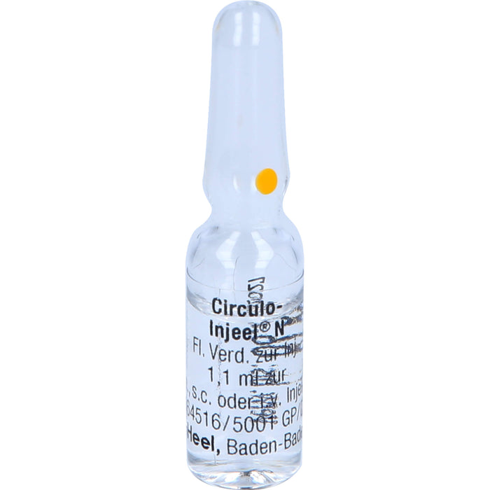 Circulo-Injeel N flüssige Verdünnung, 10 pcs. Ampoules