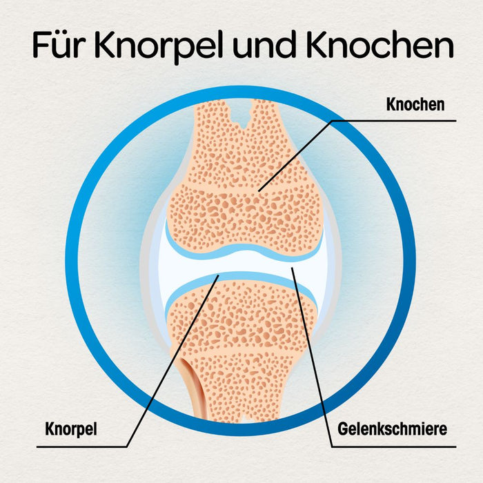 Dr Böhm Gelenke & Knorpel Tabletten, 60 pcs. Tablets