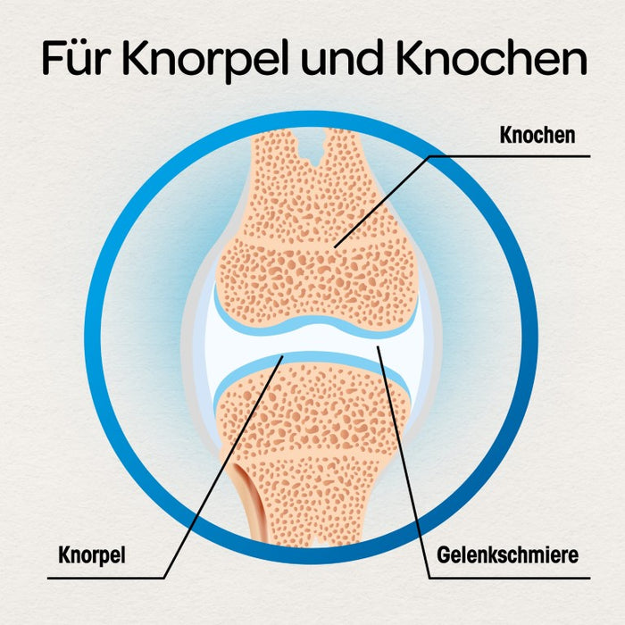 Dr Böhm Gelenke & Knorpel Tabletten, 60 pcs. Tablets