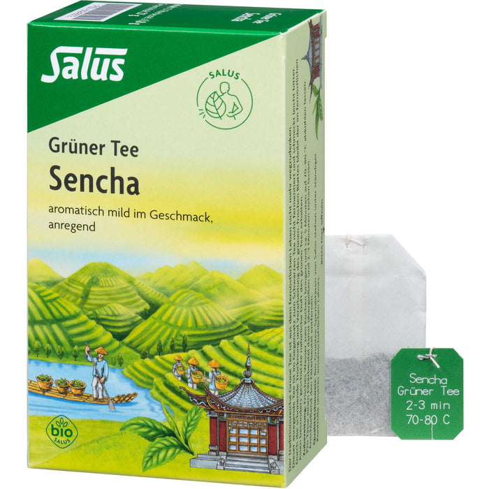 Salus Grüner Tee Sencha, 15 pc Sac filtrant