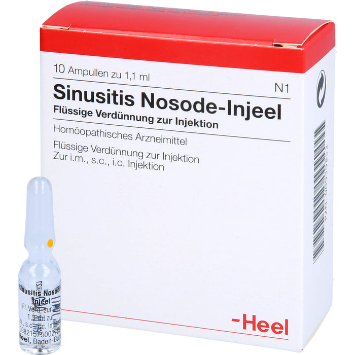 Heel Sinusitis-Nosode-Injeel flüssige Verdünnung, 10 St. Ampullen