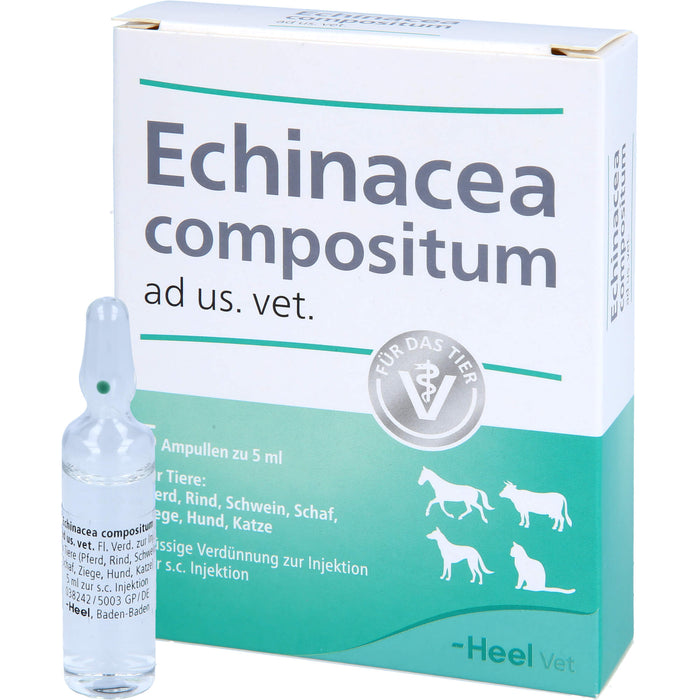 Heel Echinacea compositum ad us. vet. flüssige Verdünnung, 5 pcs. Ampoules