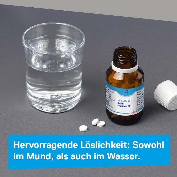 DHU Schüßler-Salz Nr. 4 Kalium chloratum D12 – Das Mineralsalz der Schleimhäute – das Original – umweltfreundlich im Arzneiglas, 80 pc Tablettes