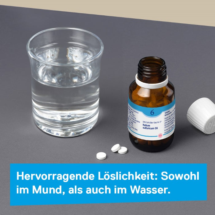 DHU Schüßler-Salz Nr. 6 Kalium sulfuricum D6 – Das Mineralsalz der Entschlackung – das Original – umweltfreundlich im Arzneiglas, 80 pc Tablettes