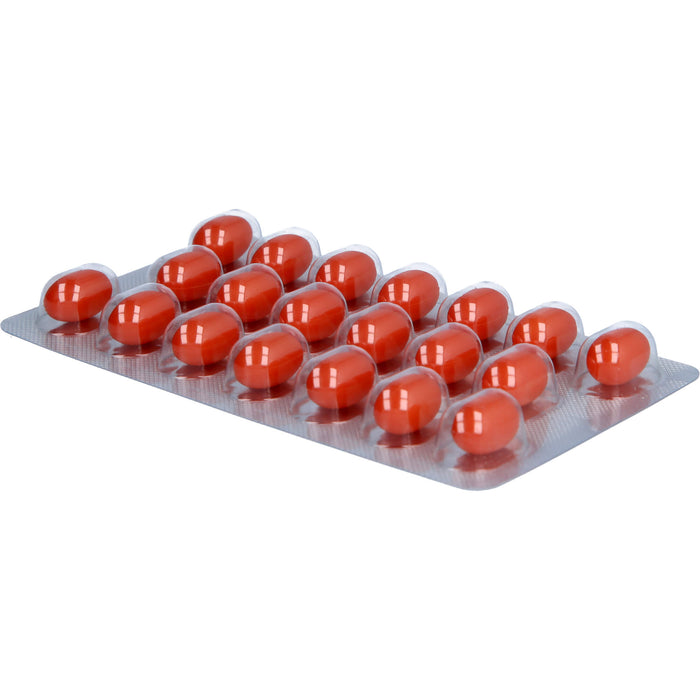 ESPRICO diätetisches Lebensmittel Kapseln, 60 pcs. Capsules