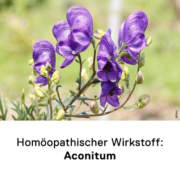 DHU Aconitum D12 Streukügelchen, 10 g Globules