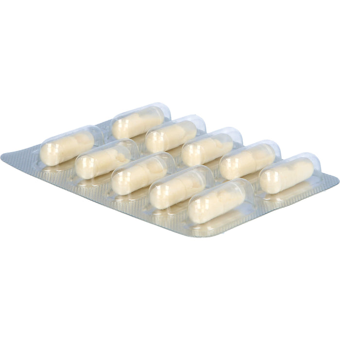 Bergland Gelée Royale Kapseln, 40 pc Capsules