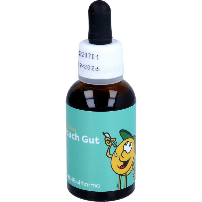 Casa Sana Bauch Gut Tropfen, 30 ml Lösung