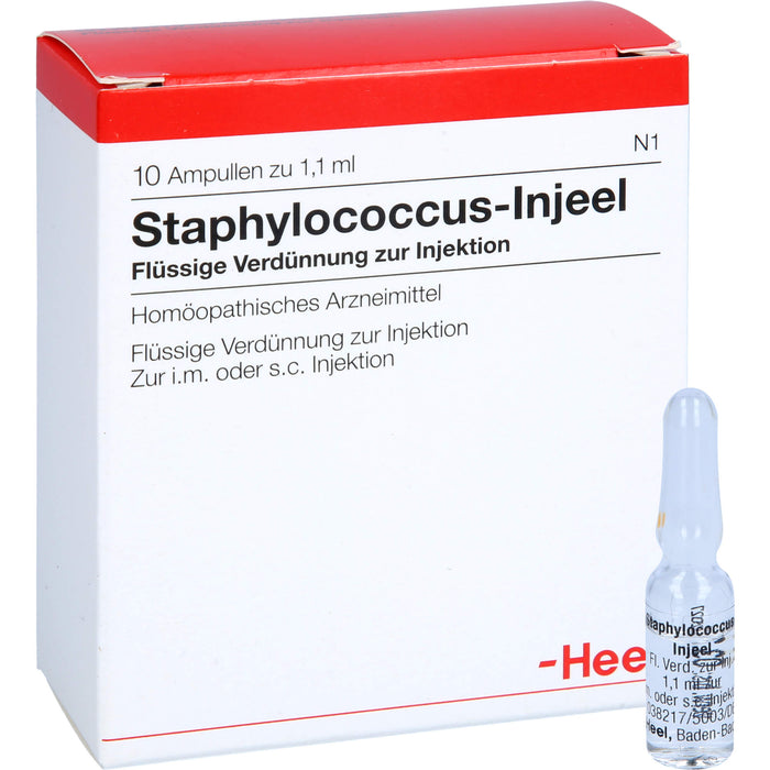 Heel Staphylococcus-Injeel flüssige Verdünnung zur Injektion, 10 pcs. Ampoules