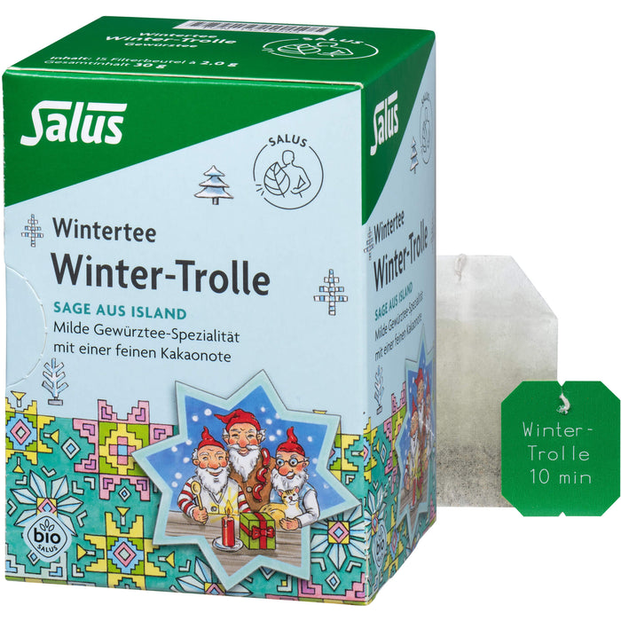 Winter-Trolle Gewürztee bio Salus, 15 St FBE