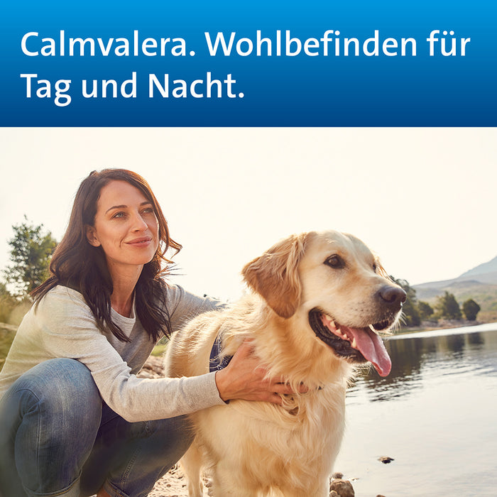 Calmvalera Tabletten bei nervösen Störungen wie Schlafstörungen und Unruhe, 100 St. Tabletten