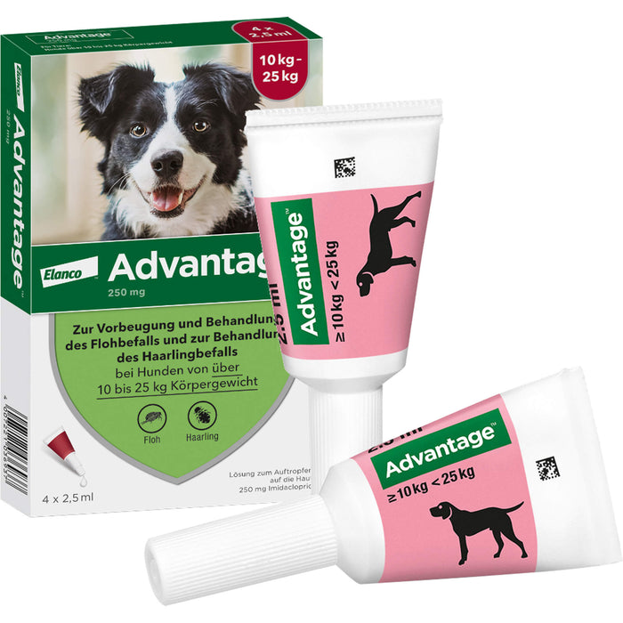 Advantage 250 mg Lösung zum Auftropfen bei Hunden, 4 St. Ampullen